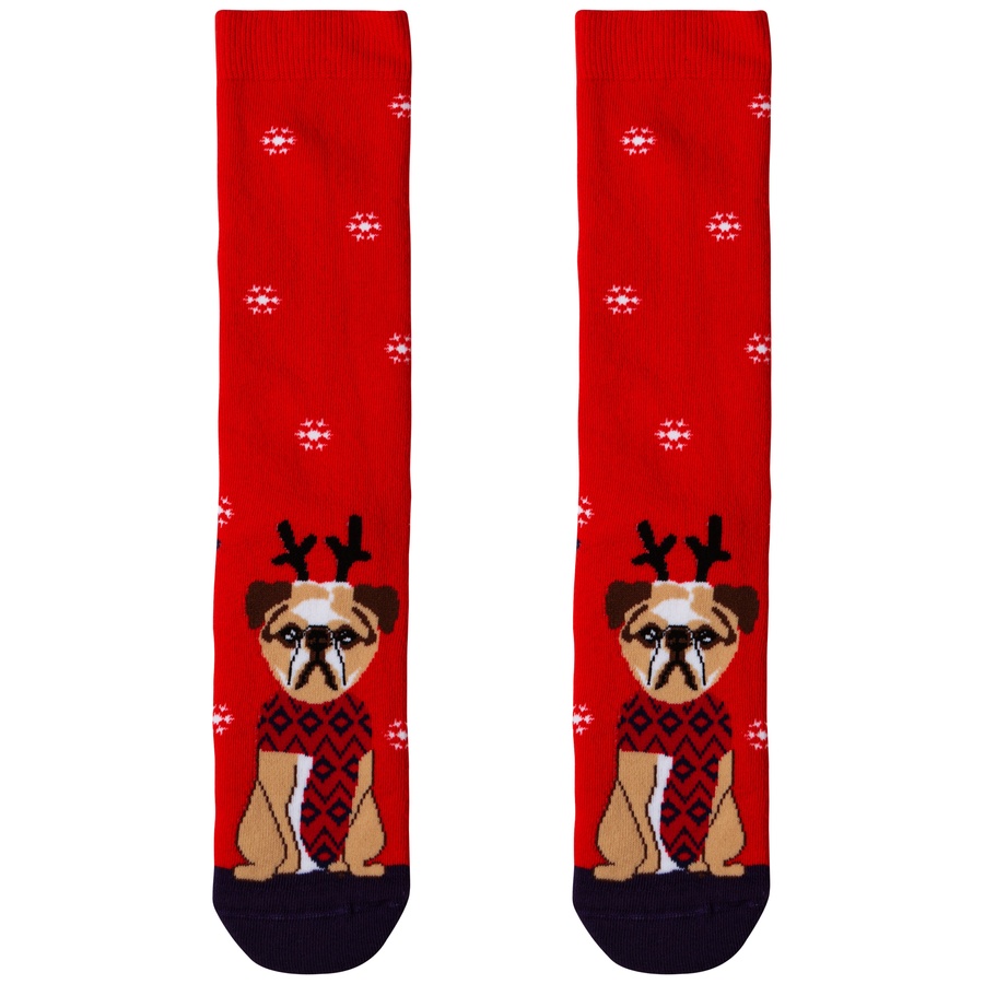 Шкарпетки жіночі новорічні, червоний "Мопс"