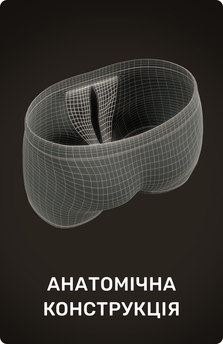 АНАТОМІЧНА КОНСТРУКЦІЯ