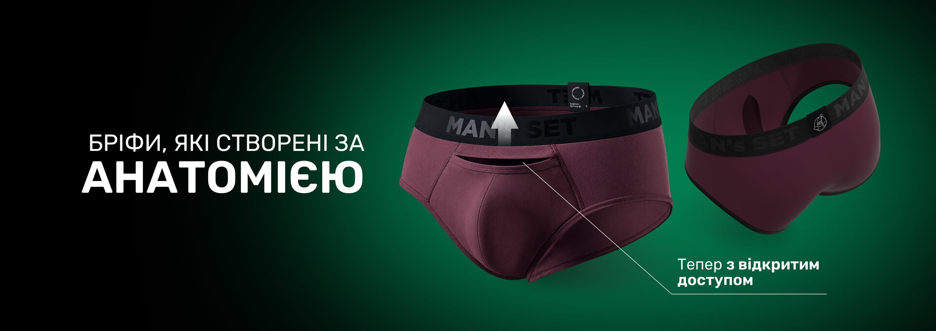 Анатомічні бріфи