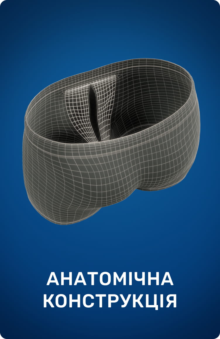 АНАТОМІЧНА КОНСТРУКЦІЯ