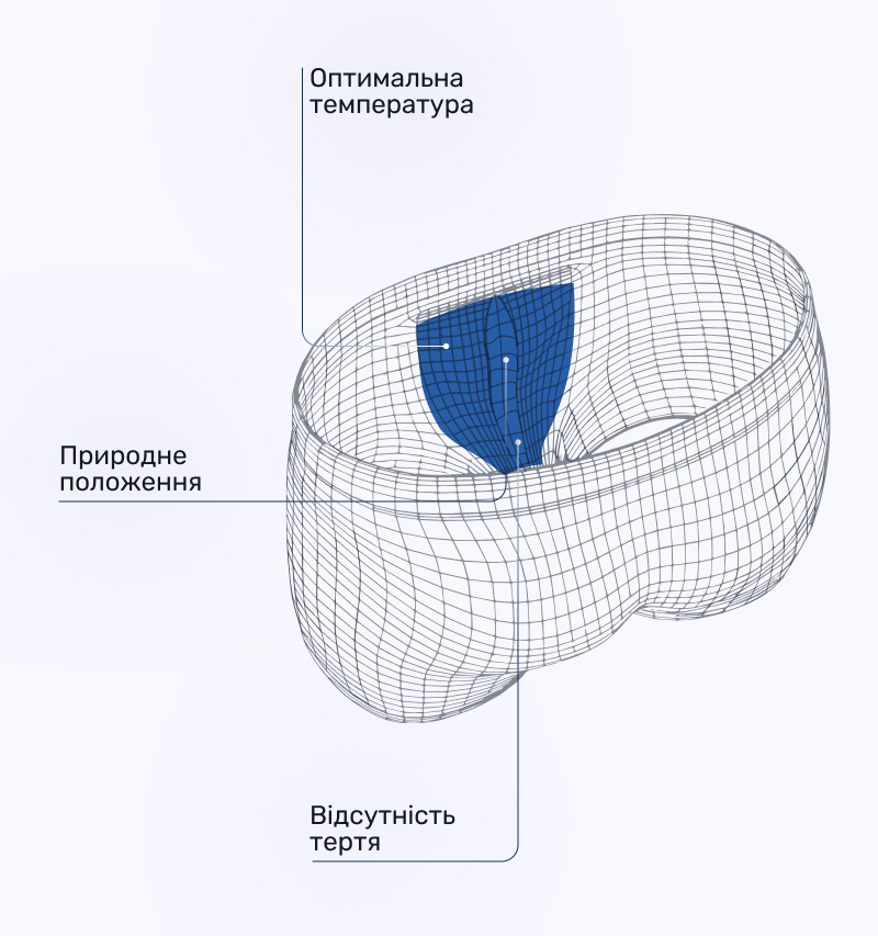 3D модель анатомічних чоловічих трусів