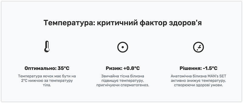Температура – критичний фактор здоров'я чоловіка Інфографіка: вплив температури на чоловіче здоров'я та переваги анатомічної білизни MAN's SET.