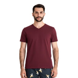 Футболка Basic V-neck, бордовий