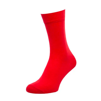 Шкарпетки чоловічі Classic Color бавовняні, червоні 
