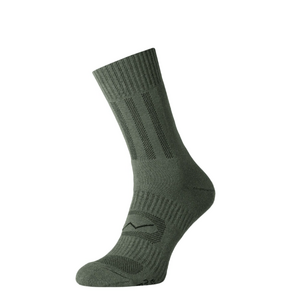 Шкарпетки чоловічі Demiseason Trekking "Middle", зелені