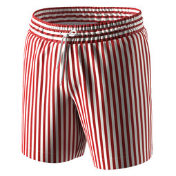 Чоловічі шорти для плавання Anatomic Shorts Swimming 2.0, червоні полоси