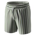 Чоловічі шорти для плавання Anatomic Shorts Swimming 2.0, Riviera Club