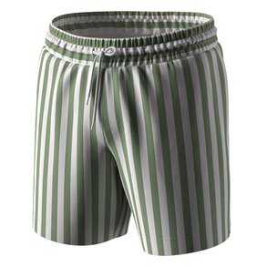 Мужские шорты для плавания Anatomic Shorts Swimming 2.0, Riviera Club