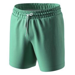 Чоловічі шорти для плавання Anatomic Shorts Swimming 2.0, бірюзовий