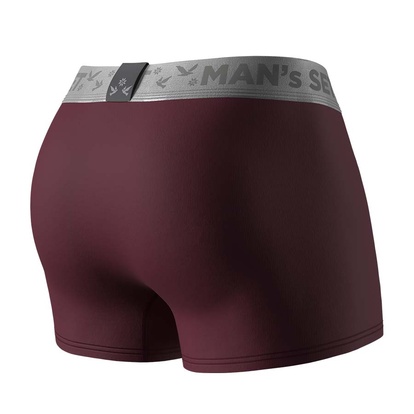 Мужские трусы Anatomic Classic 2.0, Silver Series, вишня вид сзади