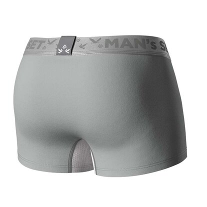 Труси Anatomic Classic Light, Silver Series, сірий вид ззаду