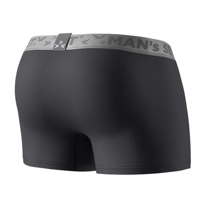 Мужские трусы Intimate 2.1, Silver Series, графитовый вид сзади