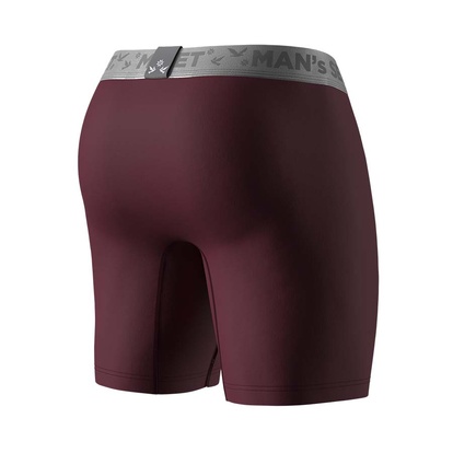 Мужские удлиненные трусы из хлопка, Anatomic Long 2.0, Silver Series, вишня сзади