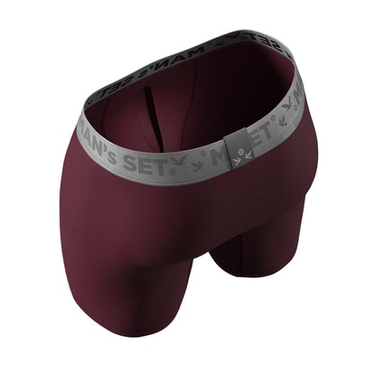 Мужские удлиненные трусы из хлопка, Anatomic Long 2.0, Silver Series, вишня вид сверху