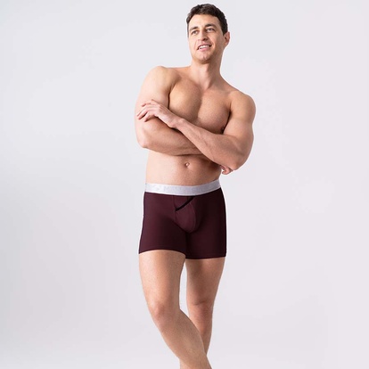 Мужские удлиненные трусы из хлопка, Anatomic Long 2.0, Silver Series, вишня на мужчине