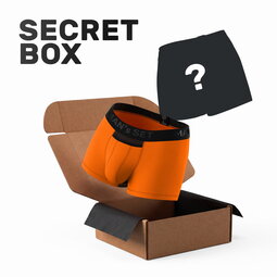 Набір чоловічих анатомічних трусів Secret Box Classic (2 шт)