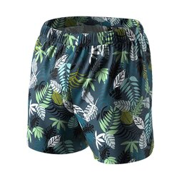 Семейные трусы (семейки) Shorts Cotton, листья папоротника (left vertical fly)