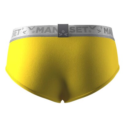 Трусы Anatomic Briefs s w/fly Silver Series, жёлтый ззади