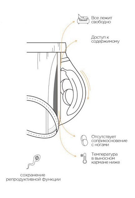 anatomic2