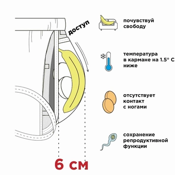 anatomic2